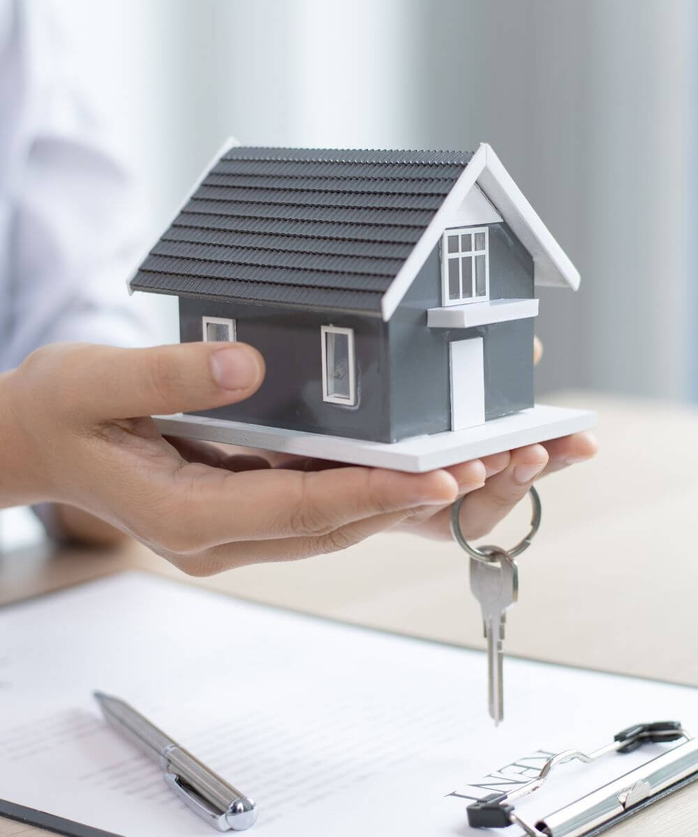 Picture-pinestead-PM Picture-pinestead-PM